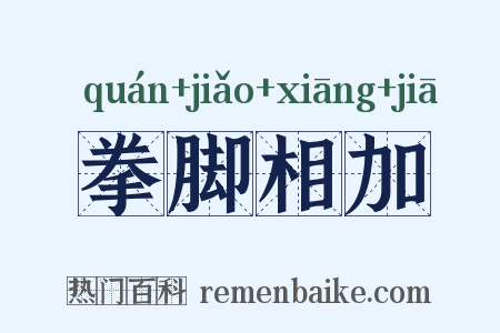 拳脚相加是什么意思的图片